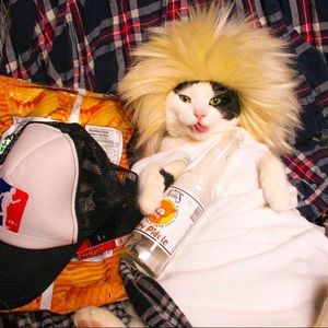 Meet your Posher, Sharyn